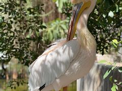 -灵玲国际马戏城