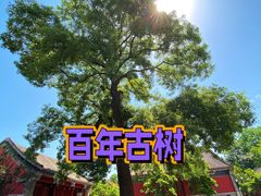 -宣南文化博物馆