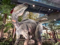 -湖南省地质博物馆