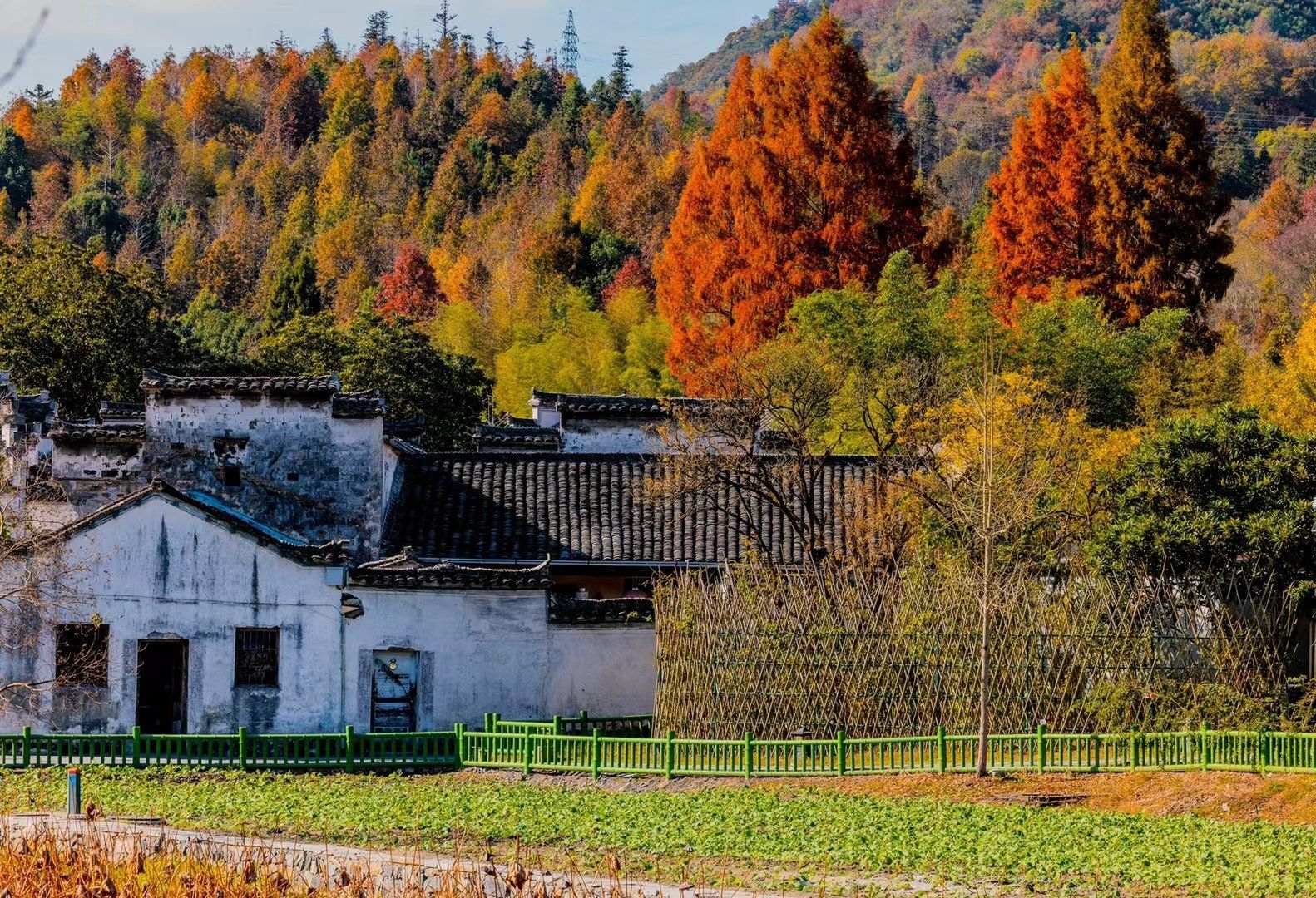 皖南之绚丽深秋,正是橙黄橘绿时