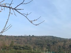 -缥缈峰景区