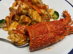 -新海渔港·胶东海鲜家常菜·家宴(奥体中心店)