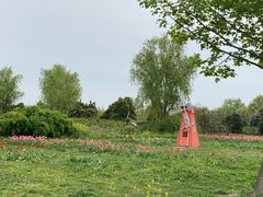 -泗洪洪泽湖湿地景区