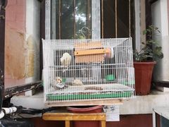 -便民修衣服修鞋店