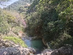 -南海湾森林生态园