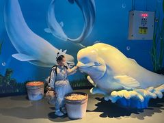 -海合安成都极地海洋公园