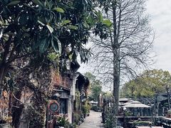 -乌镇景区