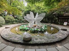 -杭州黄龙洞