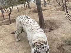 -太原动物园