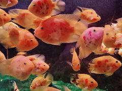 -常州海昌海洋探索馆