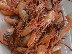 西江河虾-八仔大富楼·河鲜(西江店)