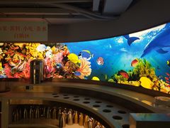 -青蓬蒸汽海鲜·深圳老字号·团建聚会(壹方城店)