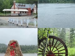 -五营红松林海景区