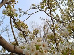 -元大都城垣遗址公园