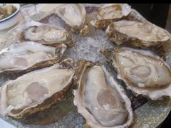 -探窝·竹笙椰子鸡(杨箕店)