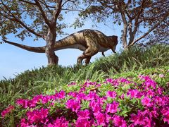 -自贡恐龙博物馆