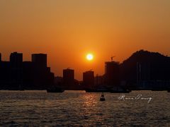 -深圳湾公园(南山区)