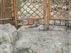 -静安公园(静安寺街道)