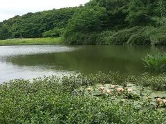 -艾溪湖湿地公园