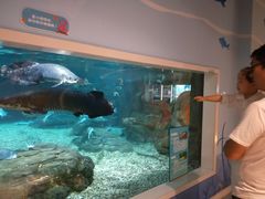 -绍兴梦享海洋公园