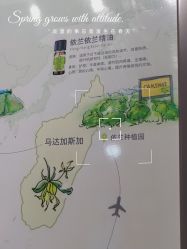 -CAMENAE嘉媚乐