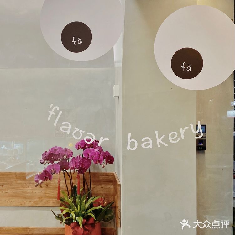 住店⭕️咖啡卡S3·思北 flower发发面包🌷