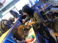 -平行世界·猫咖(首经贸店)