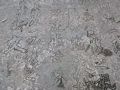 -天鹅湖体育公园