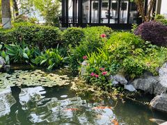 -杭州西湖柳莺里酒店