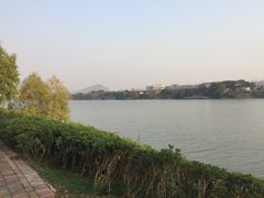 -羊山湖公园