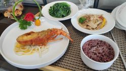 -臻康乃馨月子中心(集美店)