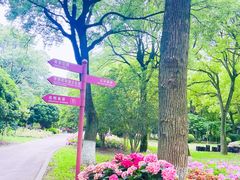 -上海鲜花港