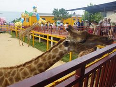 -西霞口神雕山野生动物世界