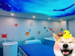 -马博士婴幼儿游泳馆(广安门旗舰店)
