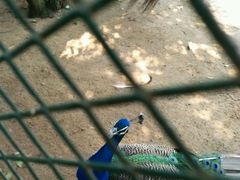 -祥源·阜阳生态乐园