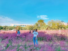 -艾溪湖湿地公园