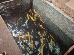-京北渔家傲