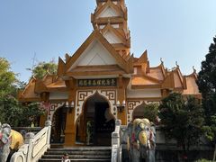-云南勐巴娜西珍奇园