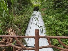 -广州市石门国家森林公园