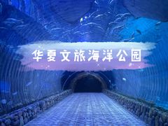 -华夏文旅海洋公园
