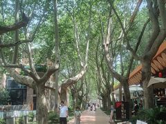 -西安电影制片厂