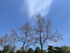 -悦海公园