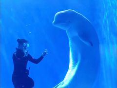 -多彩贵州城极地海洋世界