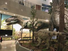 -湖南省地质博物馆