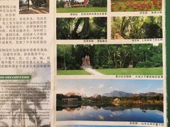 -中国科学院西双版纳热带植物园