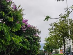 -坂田(地铁站)