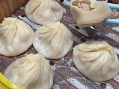 -小杨生煎(深圳岗厦北店)