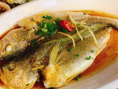 清蒸黑雕鱼-星奇缘·海鲜餐厅(东山美食地标店)