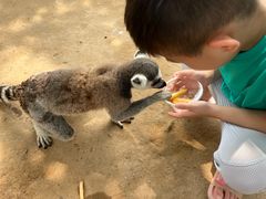 -秦皇岛野生动物园