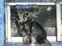 -青藏高原野生动物园